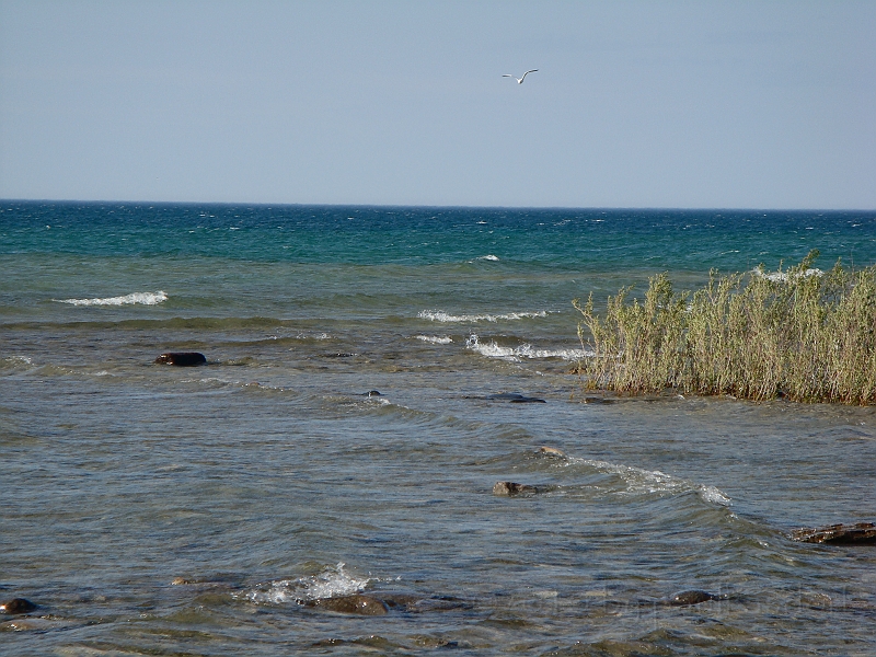 Western Michigan [2010] 842.JPG - Scenes from our trip to Western Michigan. Some places along the way were Ludington, Sleep Bear Dunes, and Traverse City.